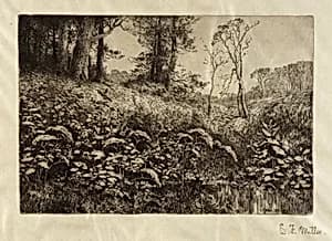 A Summer Afternoon by Elis F. Miller, n.d.