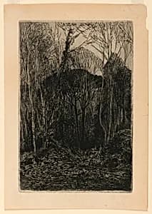 A Wood Interior
