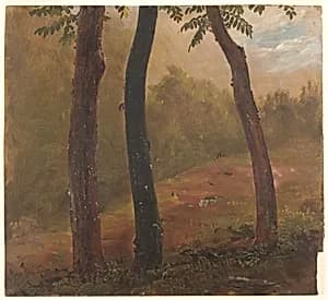 Almacigo Trees, Jamaica by Frederic Edwin Church, American, 1826–1900