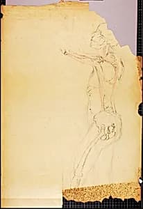 Anatomy Study by Solon H. Borglum