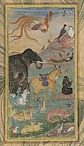 Animals and Birds by Unknown