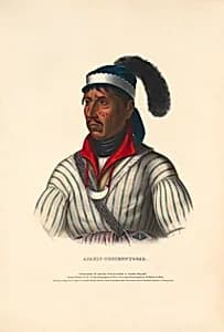 Apauly-Tustennuggee by Alfred M. Hoffy, active 1835 - 1864
