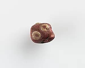 Bead. Damaged by Unknown