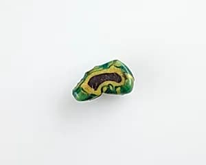 Bead, ear-shaped by Unknown