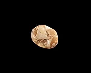 Bead, fragmentary by Unknown