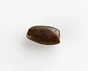 Bead by Unknown