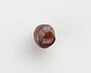 Bead by Unknown