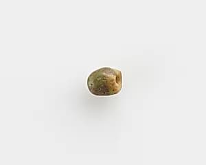 Bead by Unknown