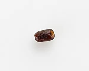 Bead by Unknown