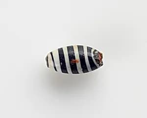 Bead by Unknown