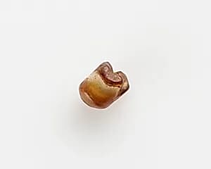 Bead by Unknown