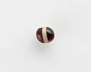 Bead by Unknown