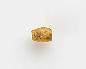 Bead by Unknown