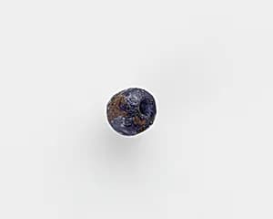 Bead by Unknown