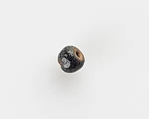 Bead by Unknown