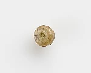 Bead by Unknown