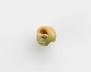 Bead by Unknown