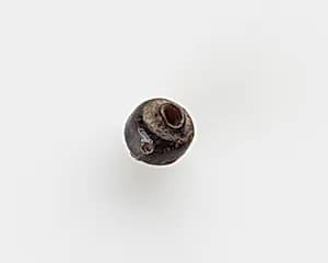 Bead by Unknown