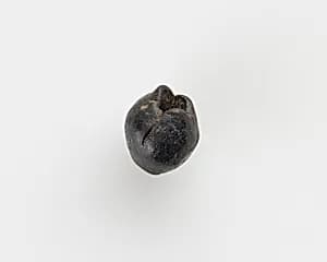 Bead by Unknown