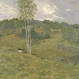 Birch-Clad Hills by Ben Foster