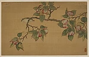 Bird and Fruit by Wu Zhang (1671-after 1741)