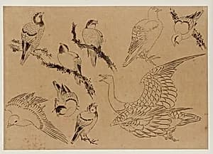 Birds by Katsushika Hokusai 葛飾北斎 (1760-1849)