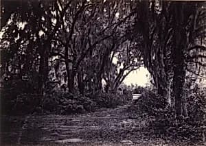 Bonaventure, Savannah, Georgia by George N. Barnard