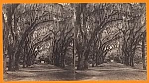Bonaventure, Savannah, Georgia by O. Pierre Havens