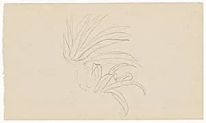 Botanical Sketch, Jamaica by Frederic Edwin Church, American, 1826–1900