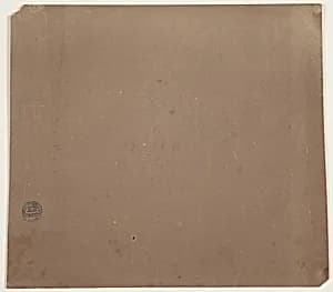 Botanical Sketches, South America by Frederic Edwin Church, American, 1826–1900