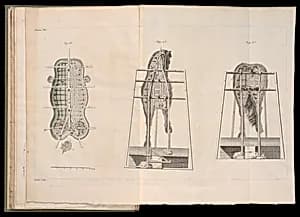 Bound print by Germain Boffrand, French, 1667–1754