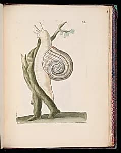 Bound print by François Nicolas Martinet, French, 1731– ca. 1800