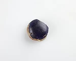 Button bead; fragmentary by Unknown