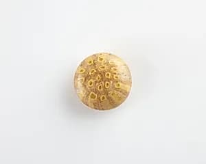 Button bead by Unknown