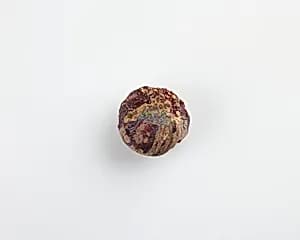 Button bead by Unknown
