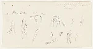 Camel Studies, Palestine by Frederic Edwin Church, American, 1826–1900