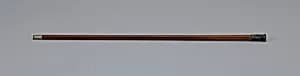Cane by Henry Rado, American, 1859–1921