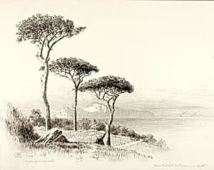 Capri from Sorrento by George Elbert Burr
