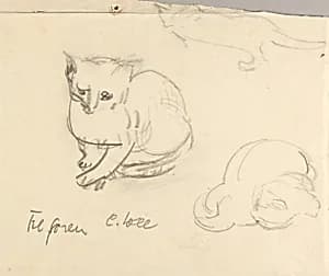 Cats