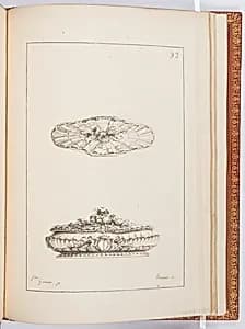 Coffre à Racine by Pierre Germain, French, 1703 - 1783