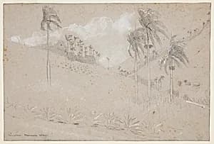 Cuban Hillside by Winslow Homer, American, 1836–1910