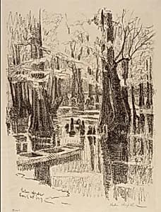 Cypress Swamp by Helen Hyde