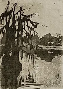 Cypress Trees by Helen Hyde