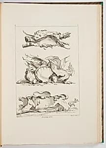 Designs for Cartouches by Gilles-Marie Oppenord, French, 1672–1742