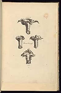 Desseins D'Agraffes by François de Cuvilliés the Elder, Belgian, active Germany, 1695 - 1768