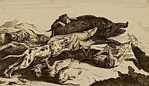 Dogs Attacking Boar by Peter Boel, Flemish