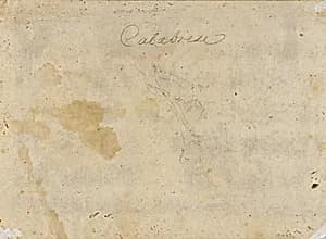 Drawing by F. Francazini