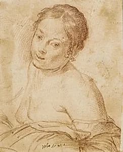 Drawing by M. Stanzione, n.d.