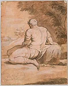 Drawing study: Narcissus (?) by Unknown