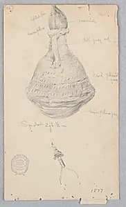 Earthenware Jar by Robert Frederick Blum, American, 1857–1903